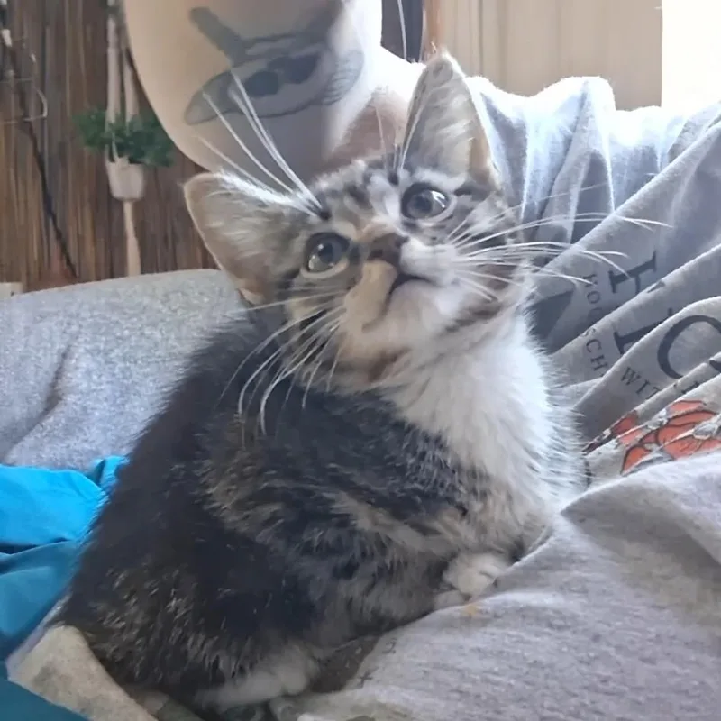 Sabrina thumbnail 2