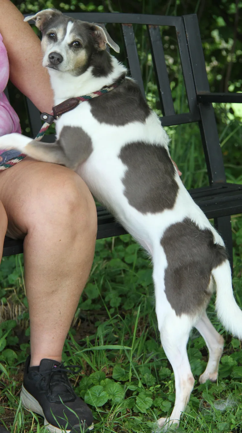 Cuddles thumbnail 2
