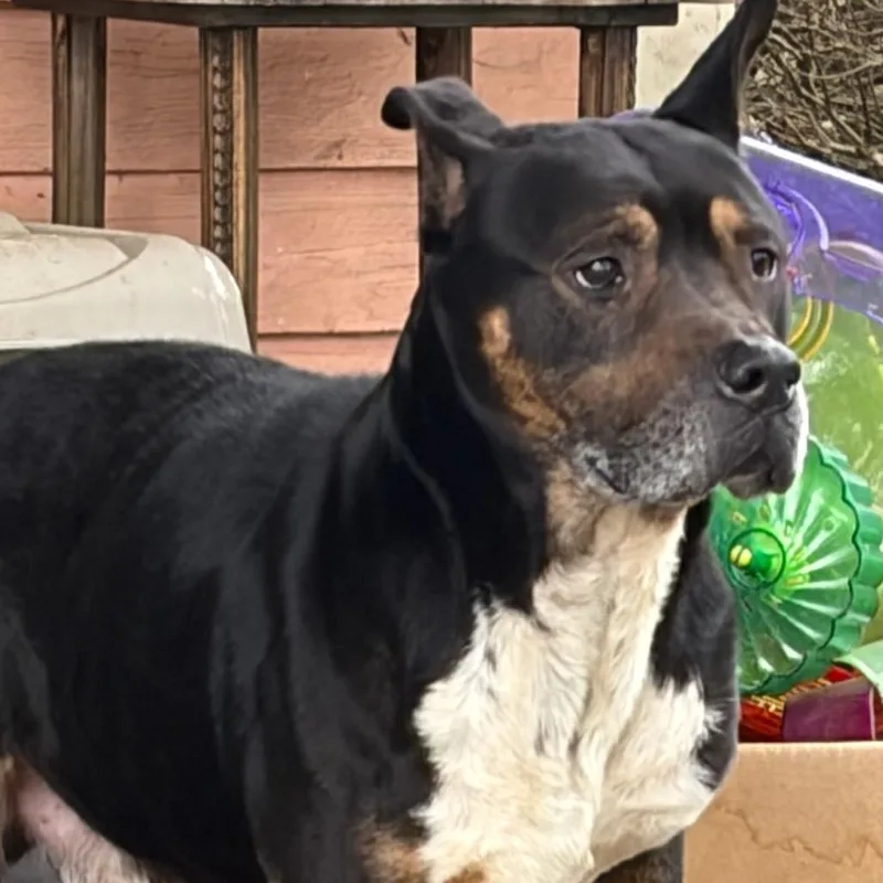 Frederick thumbnail 2