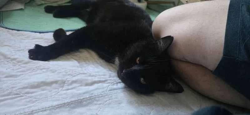 Derpy thumbnail 3