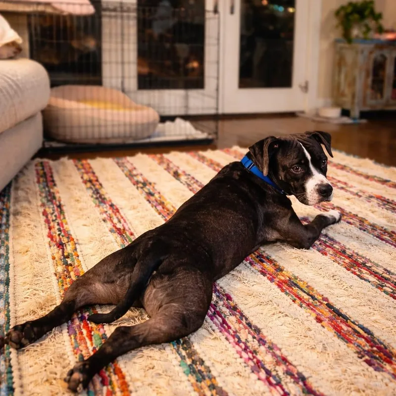 Pepper thumbnail 3