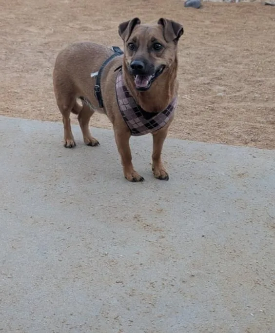 Oti