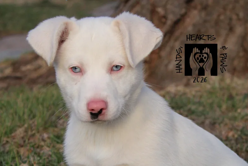 Jesse James thumbnail 3