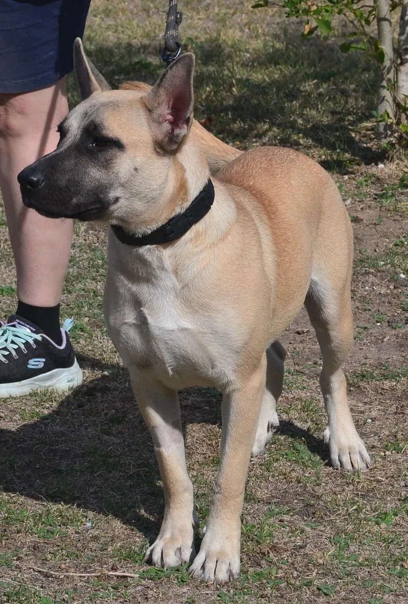 Twilight thumbnail 2