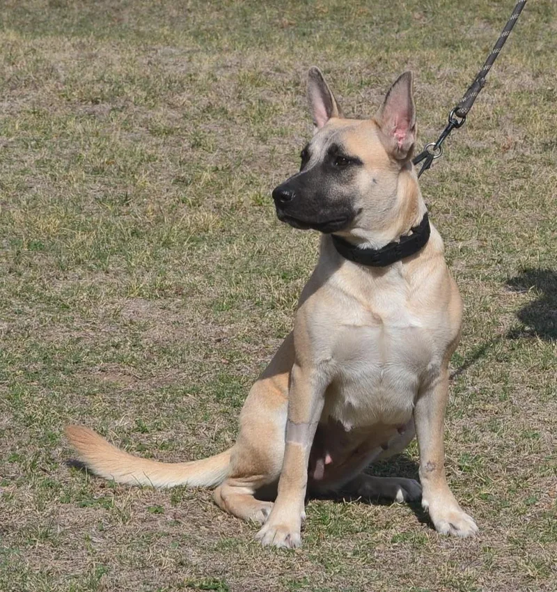 Twilight thumbnail 3