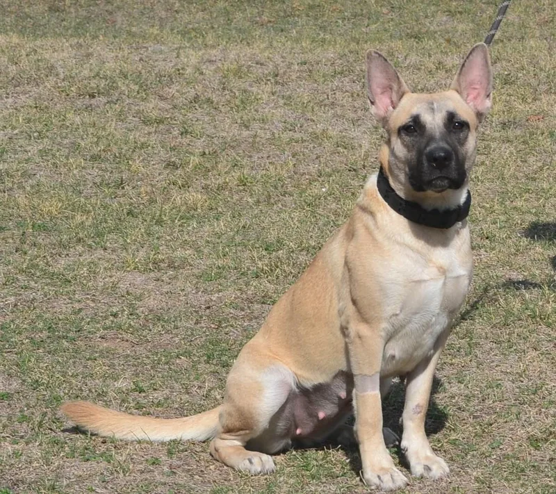 Twilight thumbnail 4