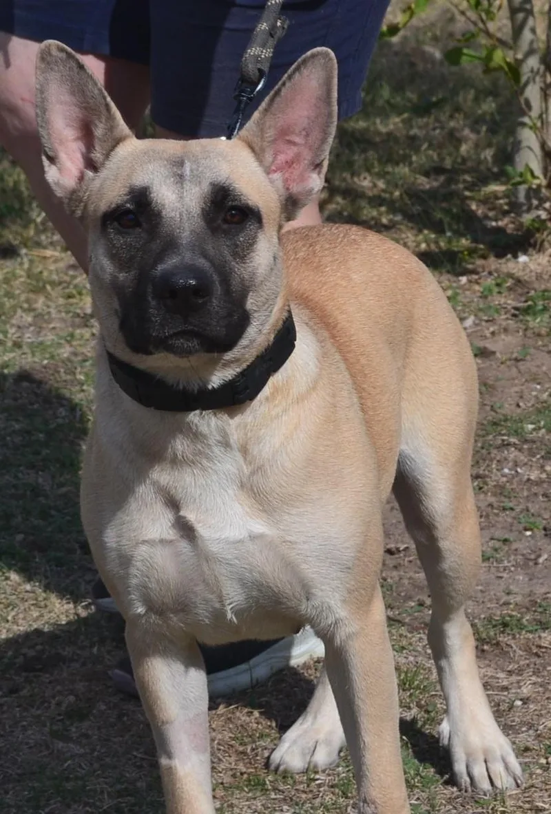 Twilight thumbnail 5