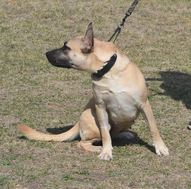 Twilight thumbnail 6