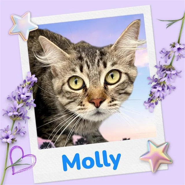 Molly
