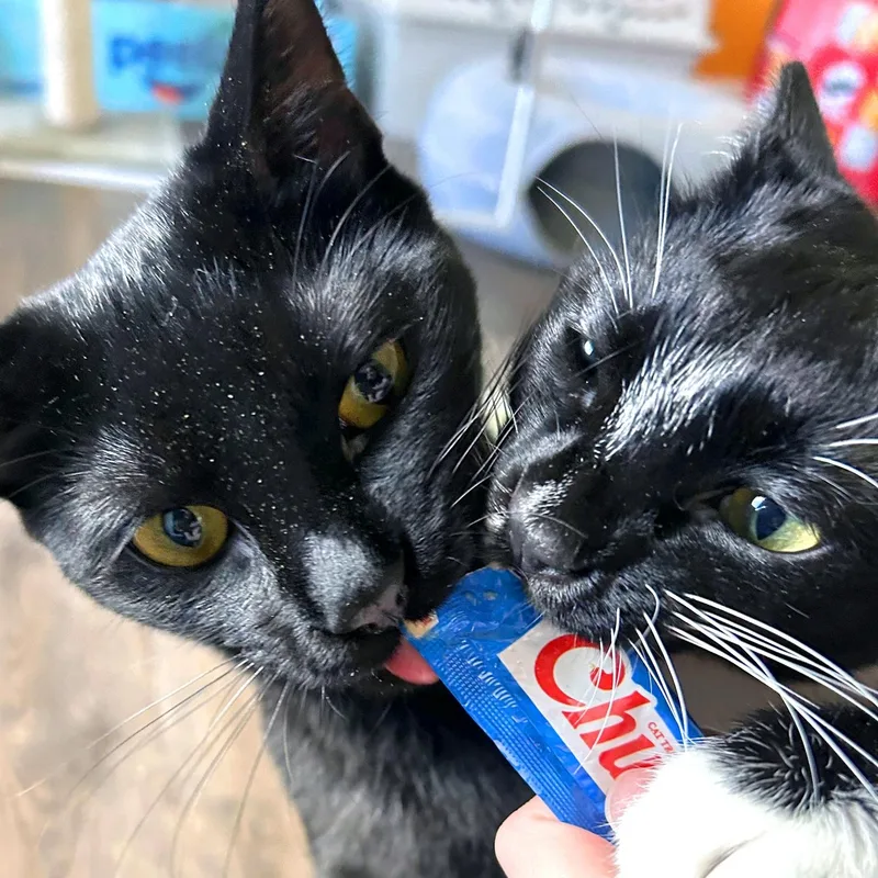 Reginald & Jonah thumbnail 2