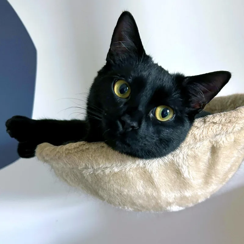 Reginald & Jonah thumbnail 3