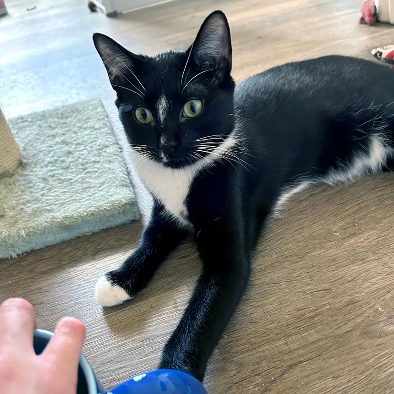 Reginald & Jonah thumbnail 4