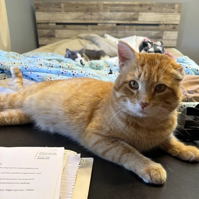 Simon Peter Aka Big thumbnail 2