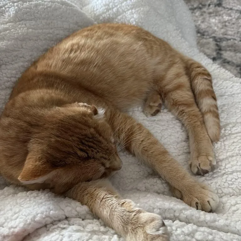 Simon Peter Aka Big thumbnail 3