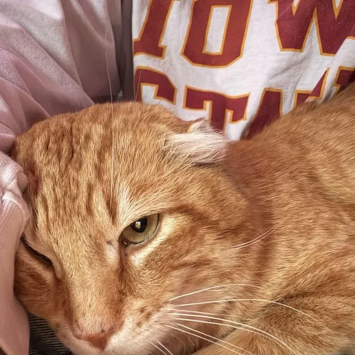 Simon Peter Aka Big thumbnail 4