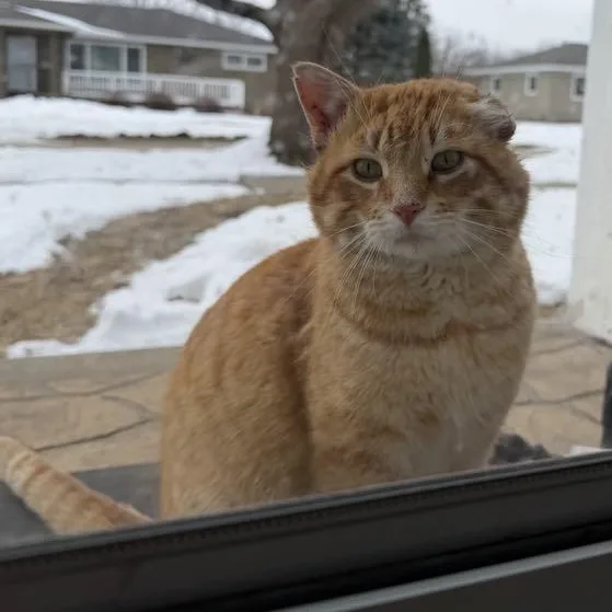 Simon Peter Aka Big thumbnail 5