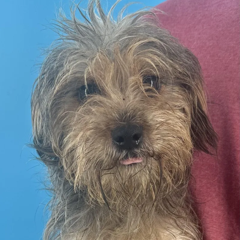 Banks  Local October thumbnail 2