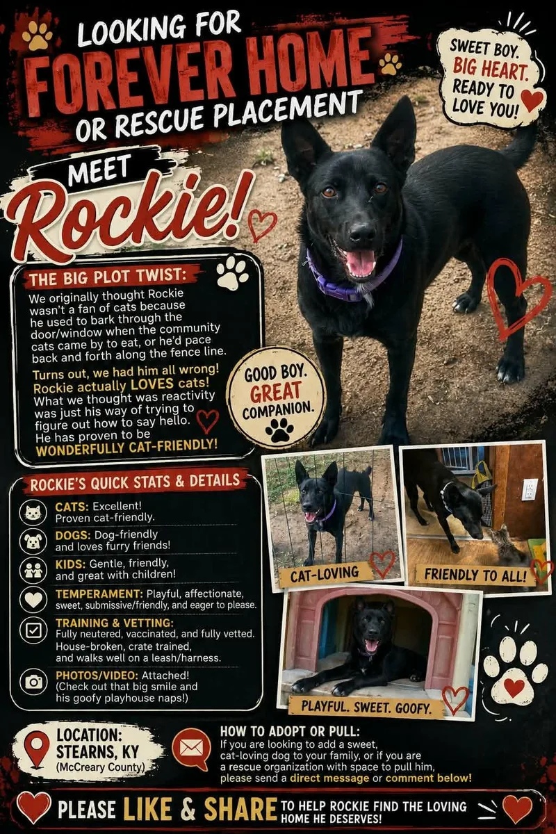 Rockie thumbnail 2