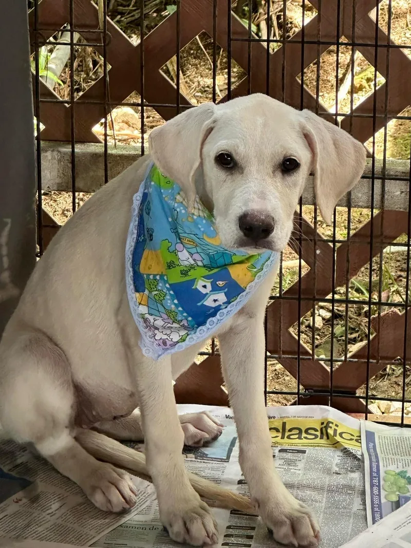 Princess Jean "your Love." thumbnail 3