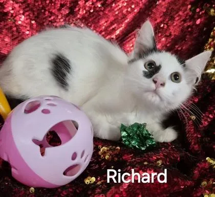 Richard