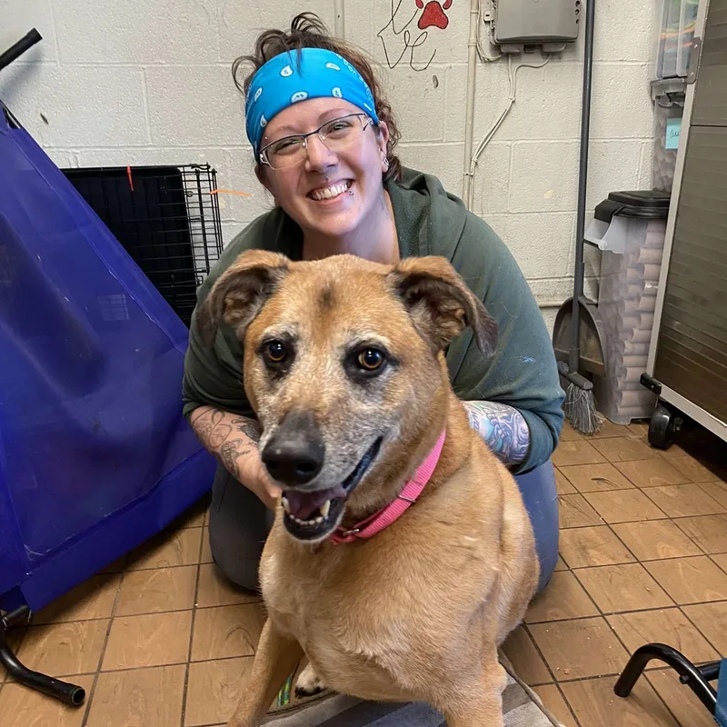 Guiseppi thumbnail 3