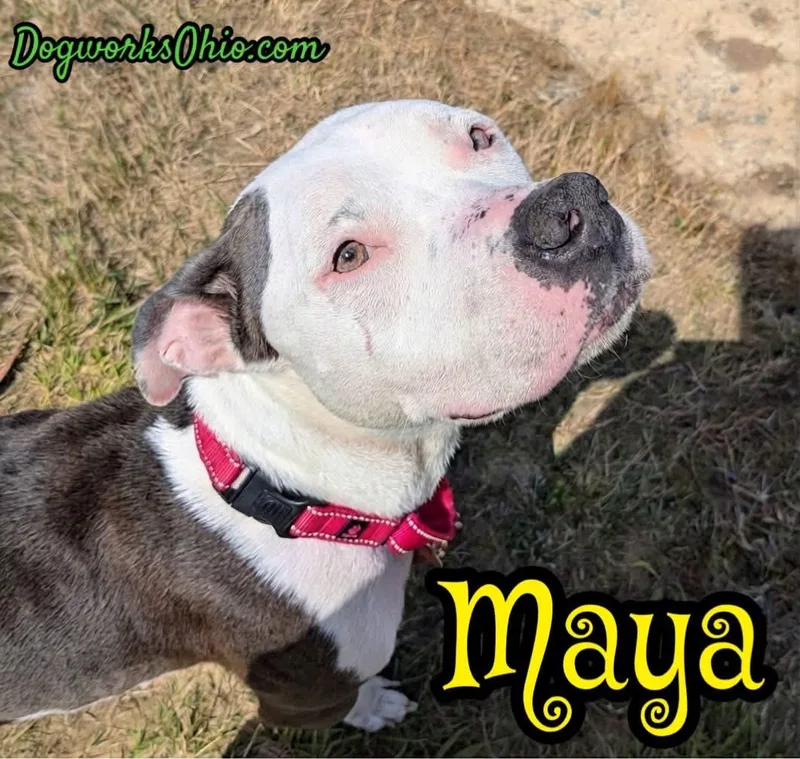 Maya thumbnail 2
