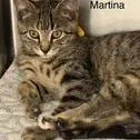 Martina