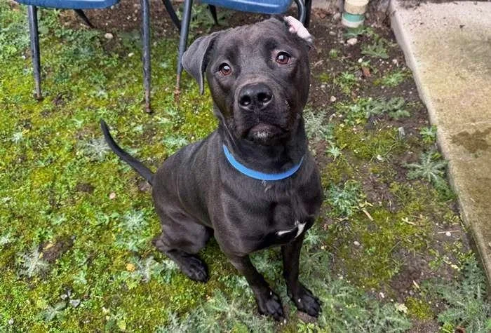 Luke Ohd thumbnail 2