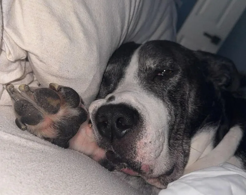 Zzzzzzz_rocky_courtesy thumbnail 2