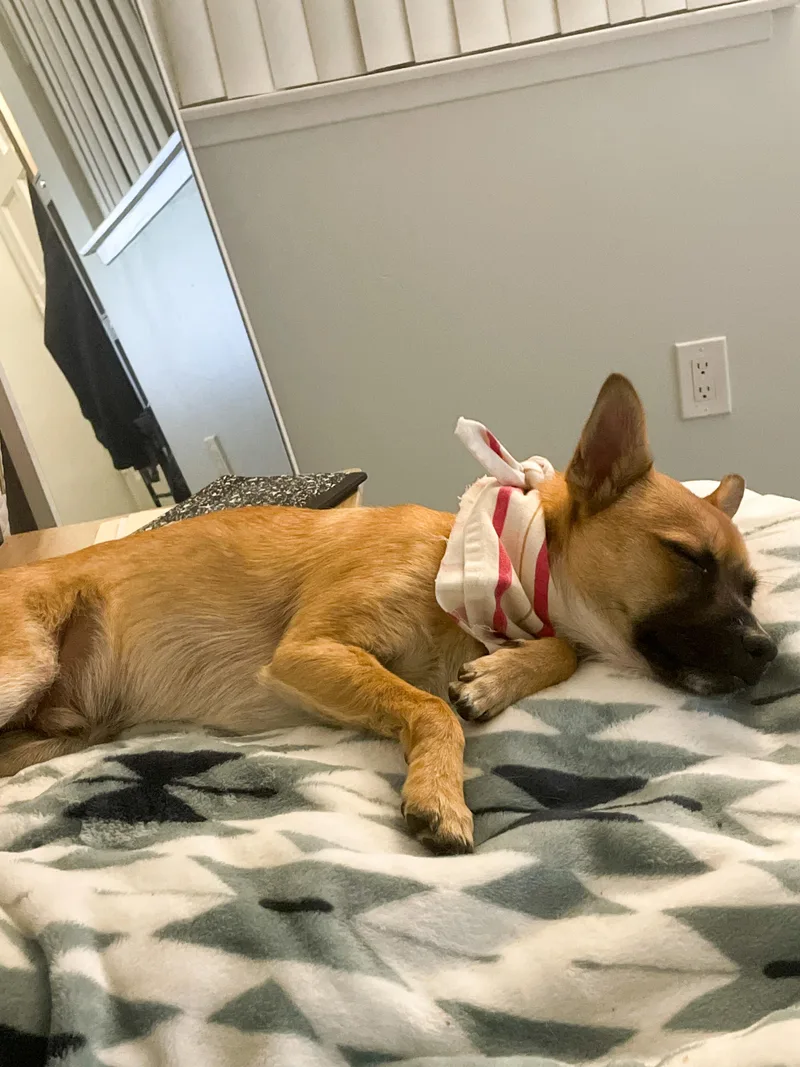 Drew thumbnail 2