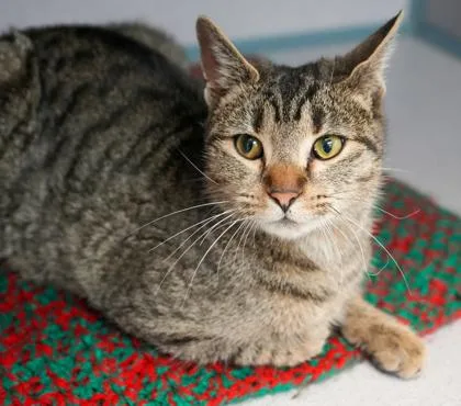 Izzy Sponsored thumbnail 2