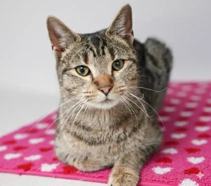 Izzy Sponsored thumbnail 3