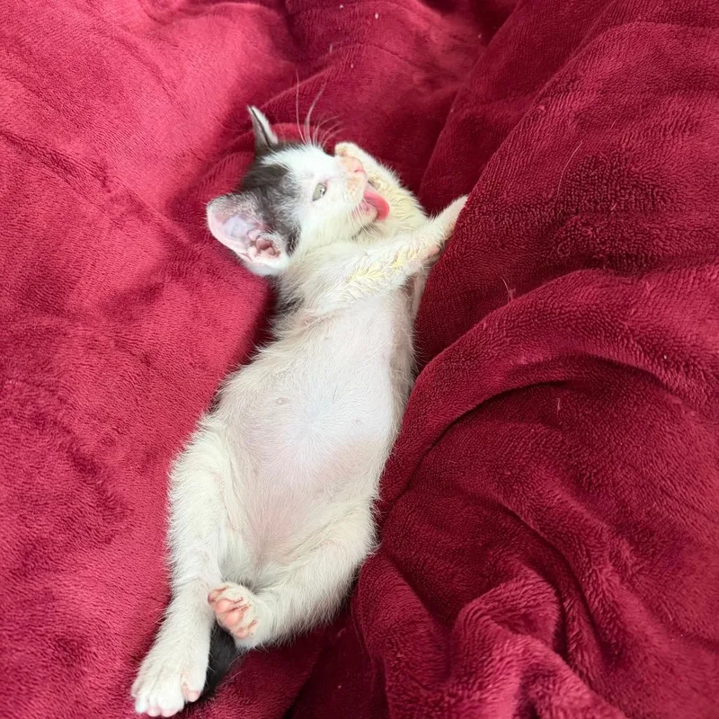 Under The Sky thumbnail 2