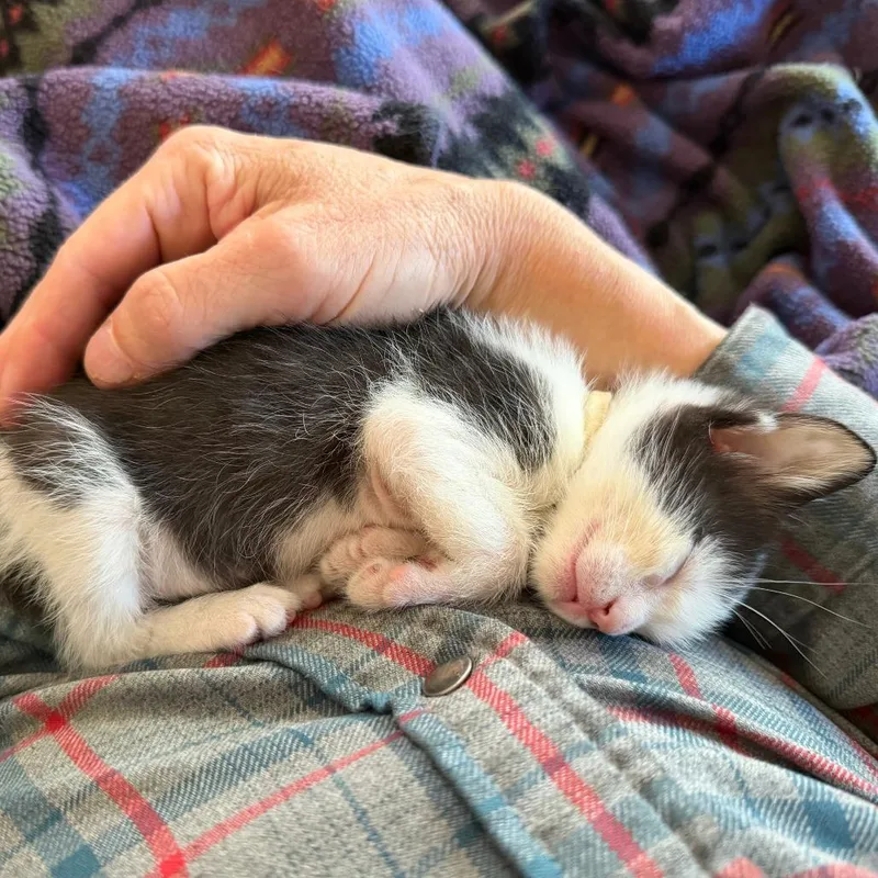 Under The Sky thumbnail 3