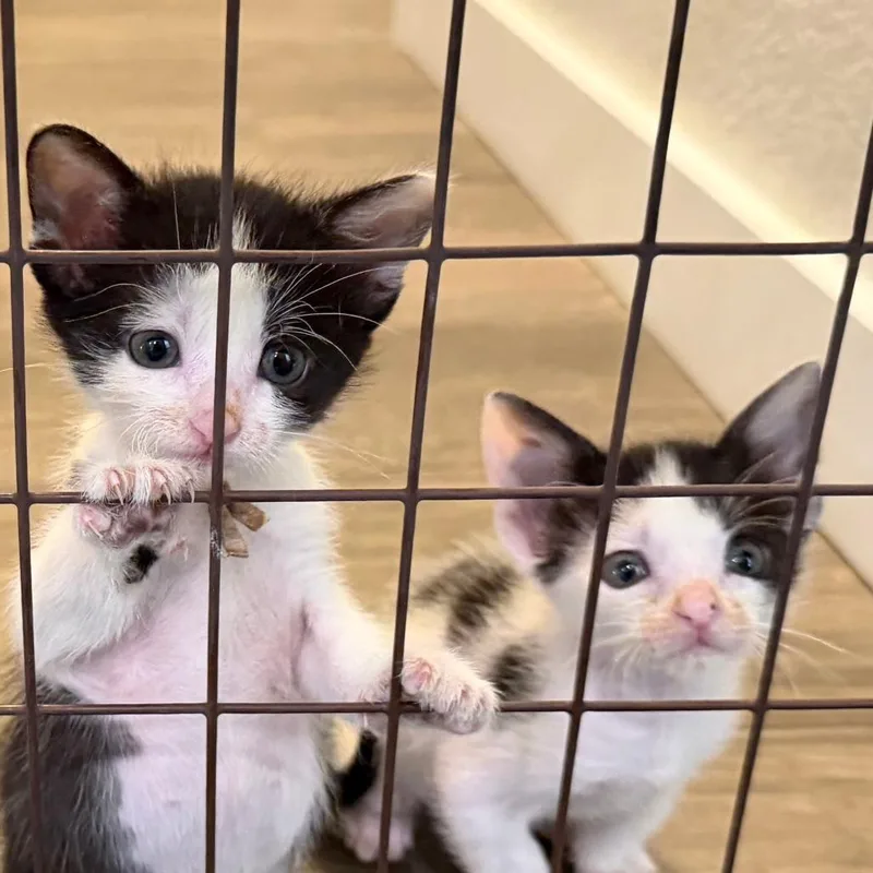 Under The Sky thumbnail 4