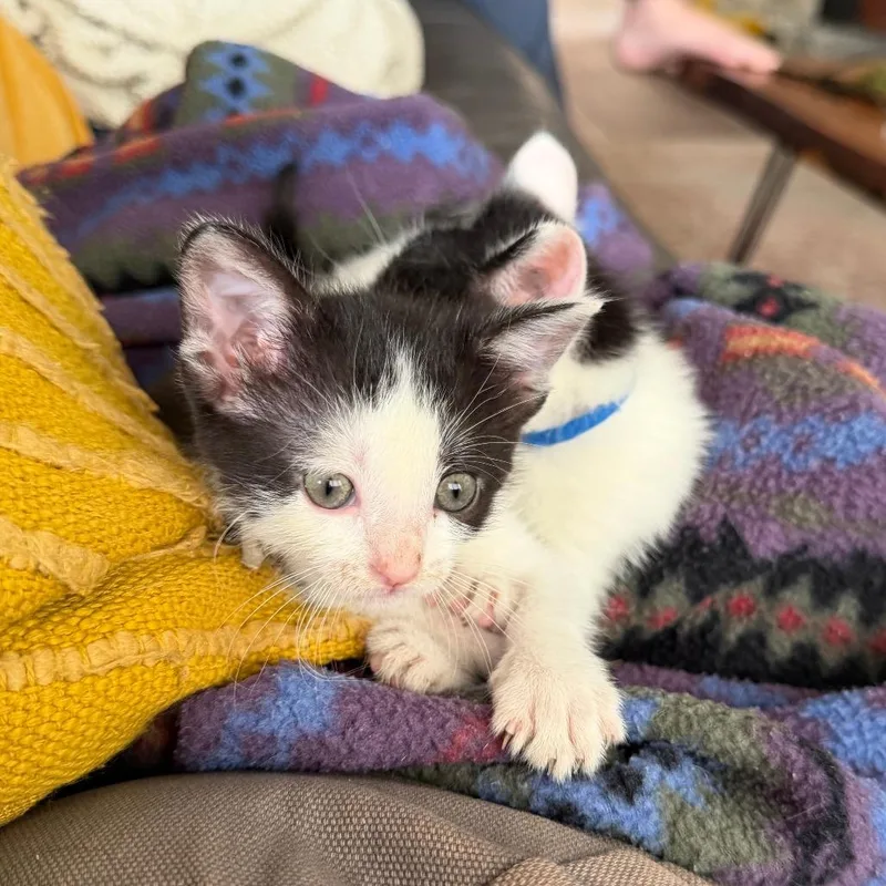 Under The Sky thumbnail 5