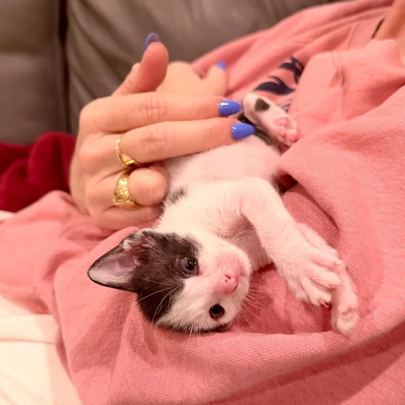 Under The Sky thumbnail 6