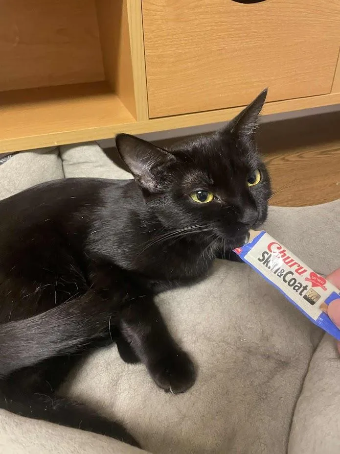 Sapphire thumbnail 2