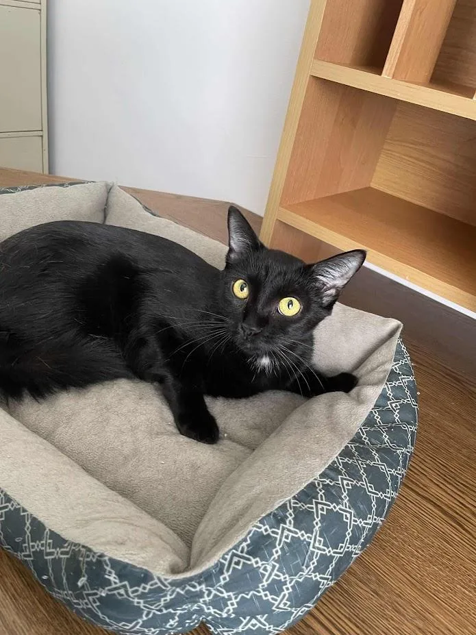 Sapphire thumbnail 3