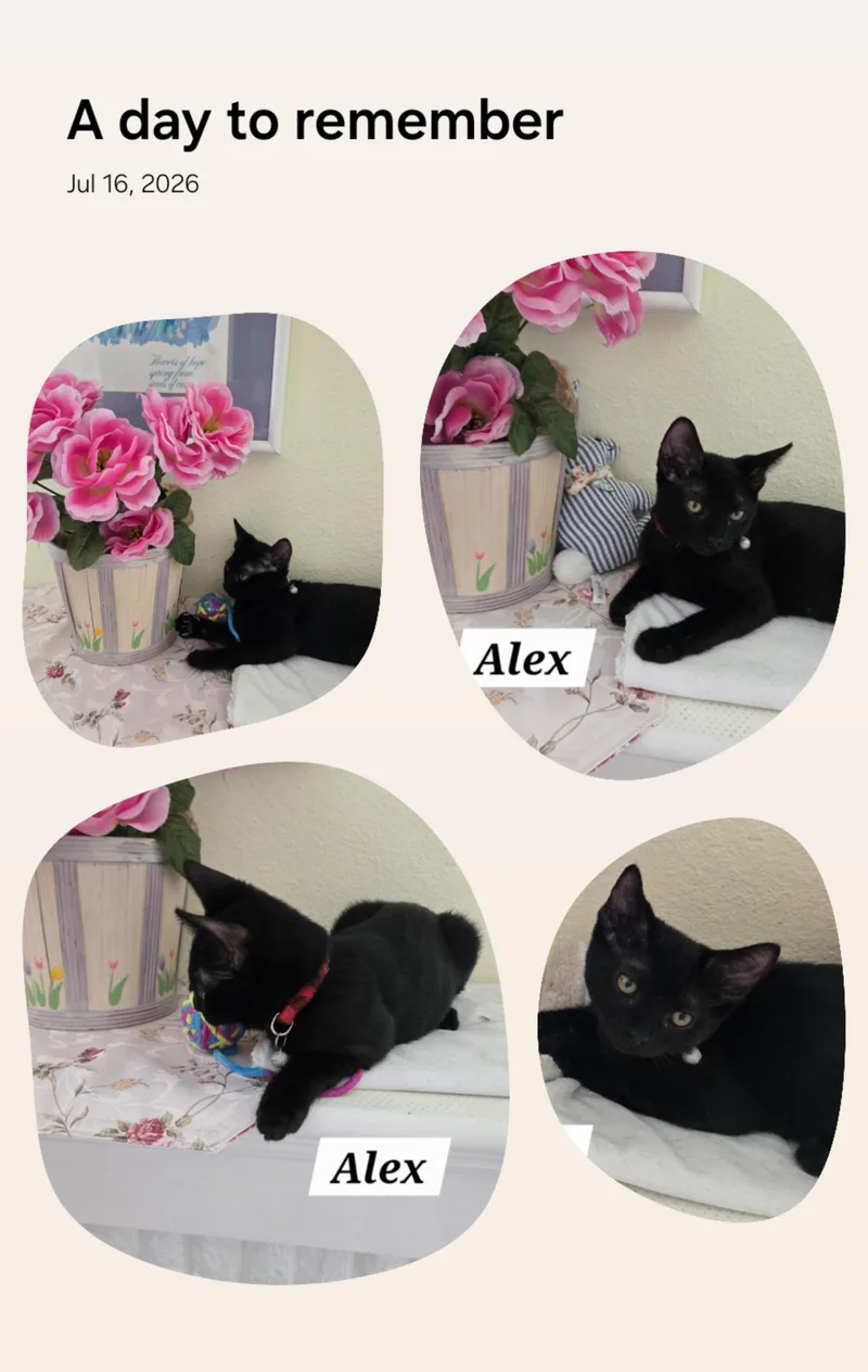 Alex thumbnail 2