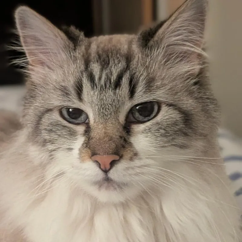 Nina thumbnail 4