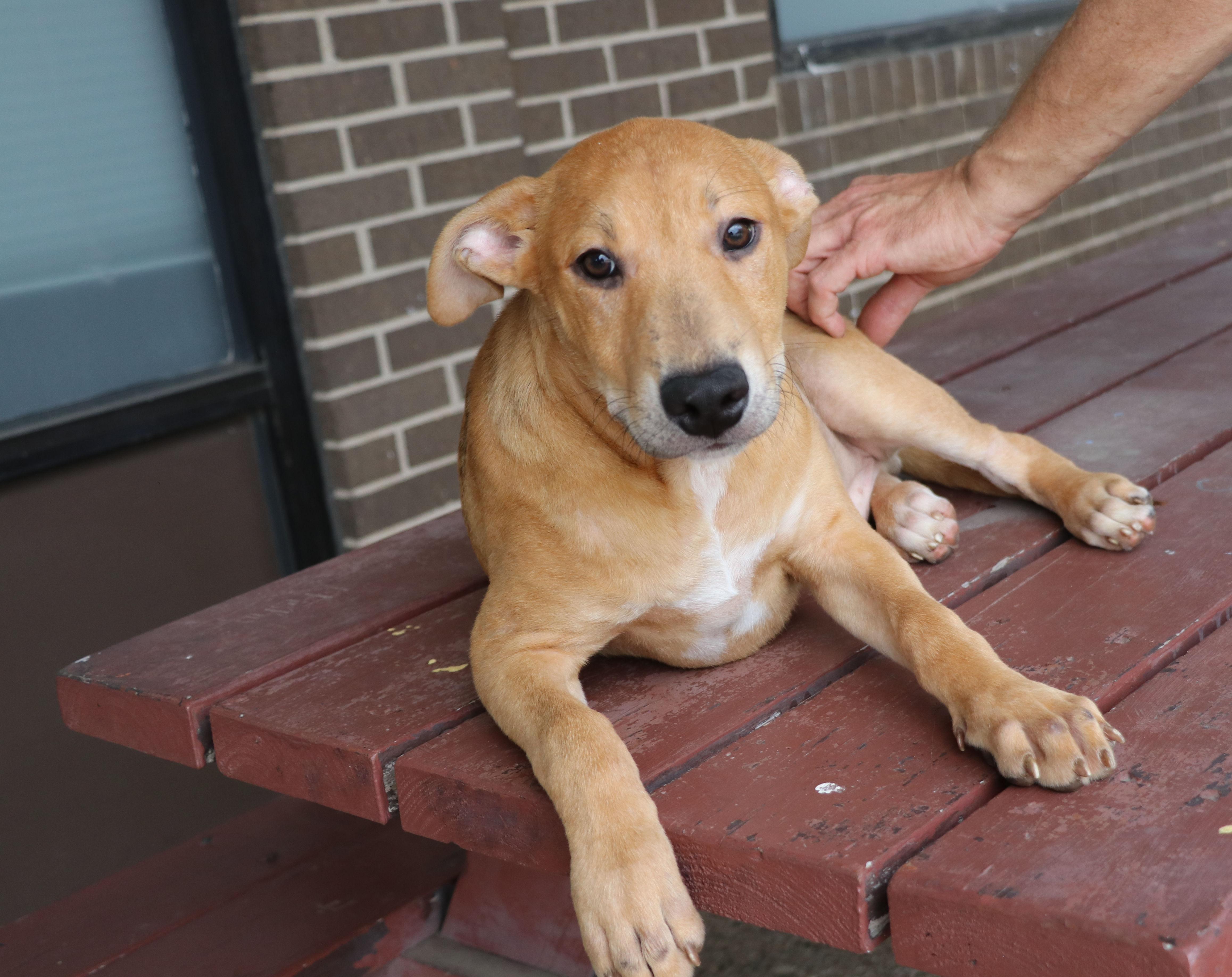 Jimmy Dugan thumbnail 2