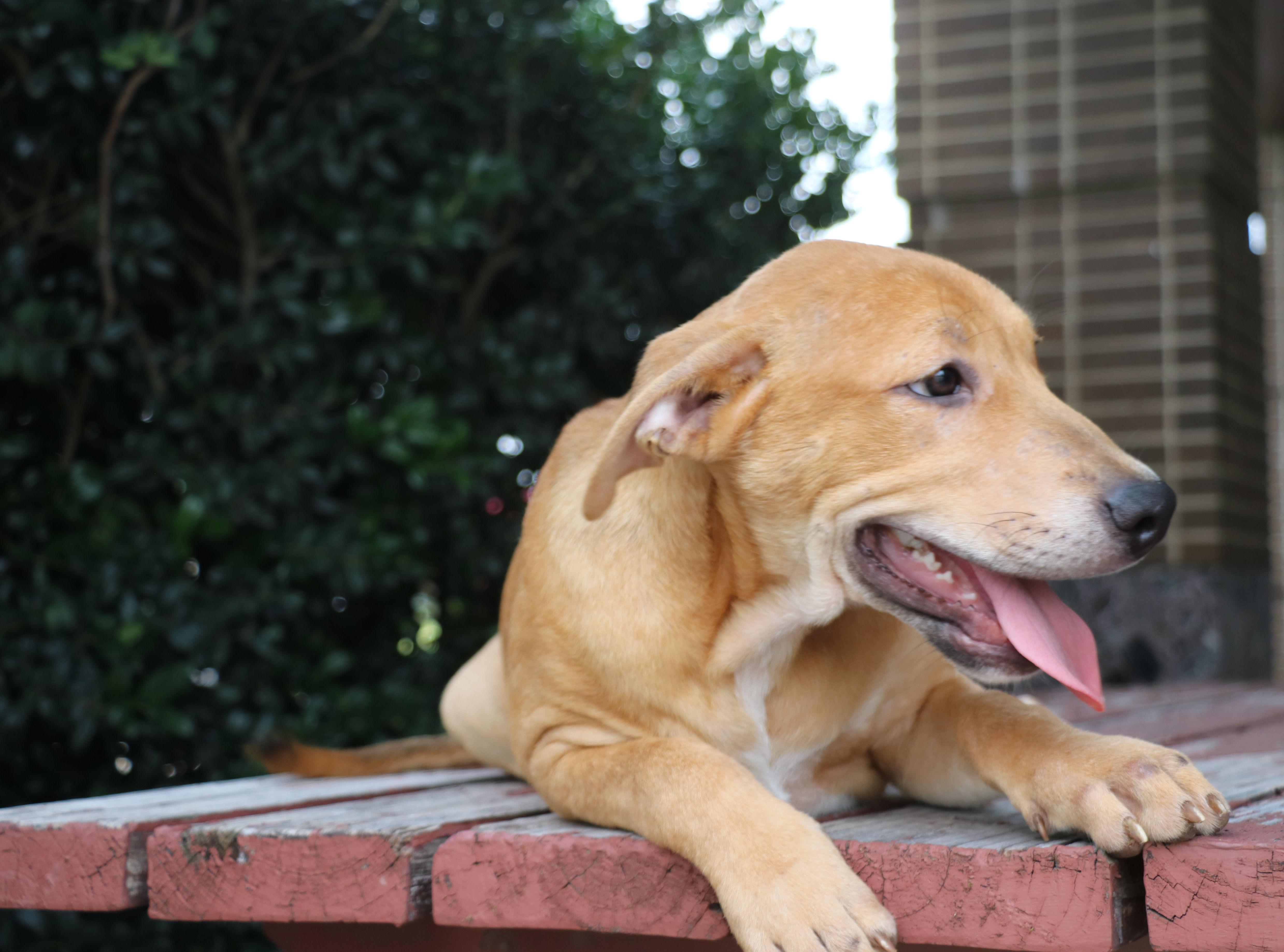 Jimmy Dugan thumbnail 4