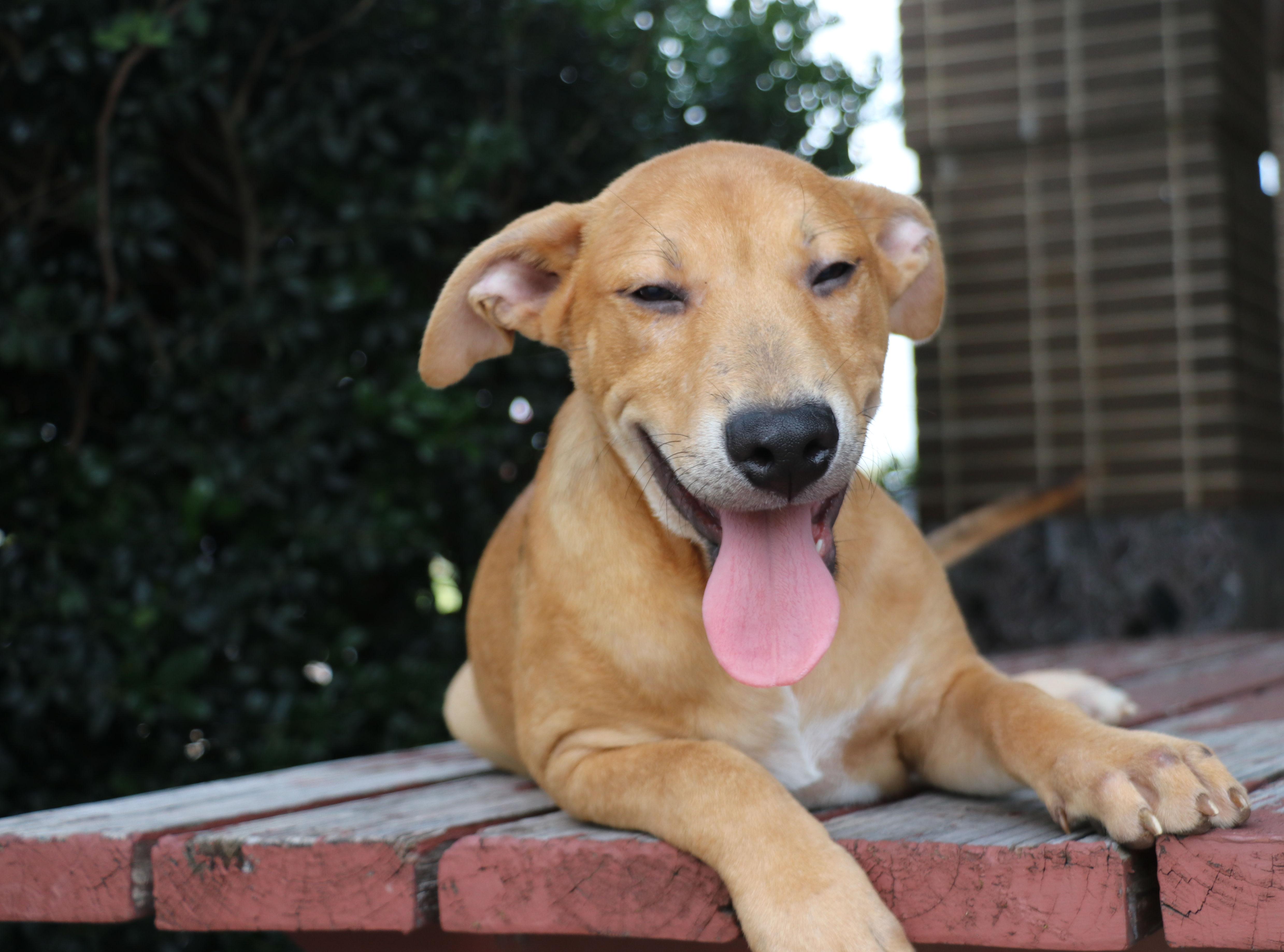 Jimmy Dugan thumbnail 5