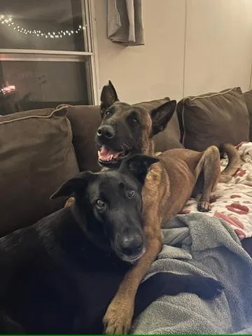 Orbit  Located In thumbnail 2