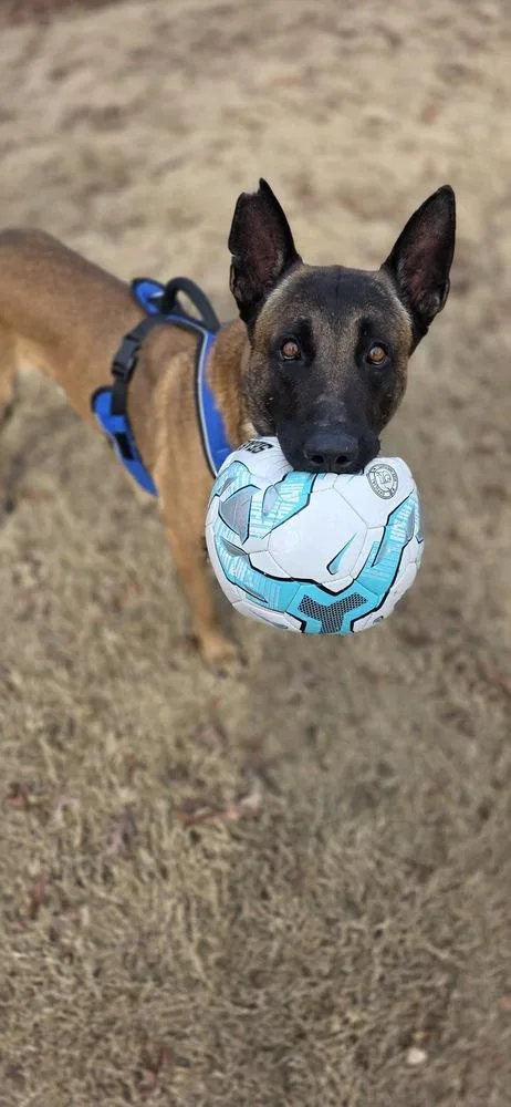 Orbit  Located In thumbnail 3