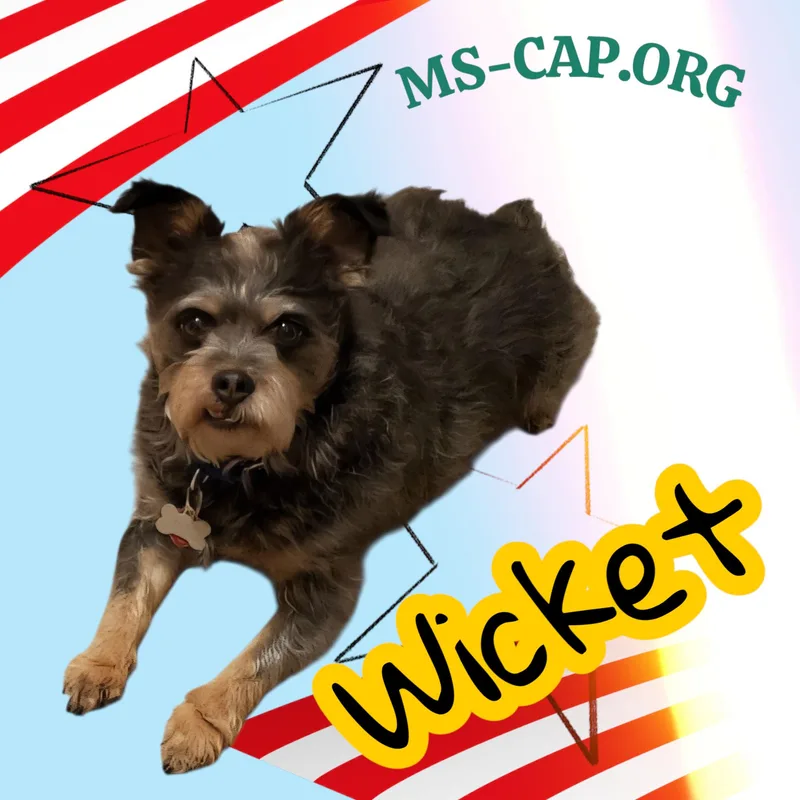 Wicket