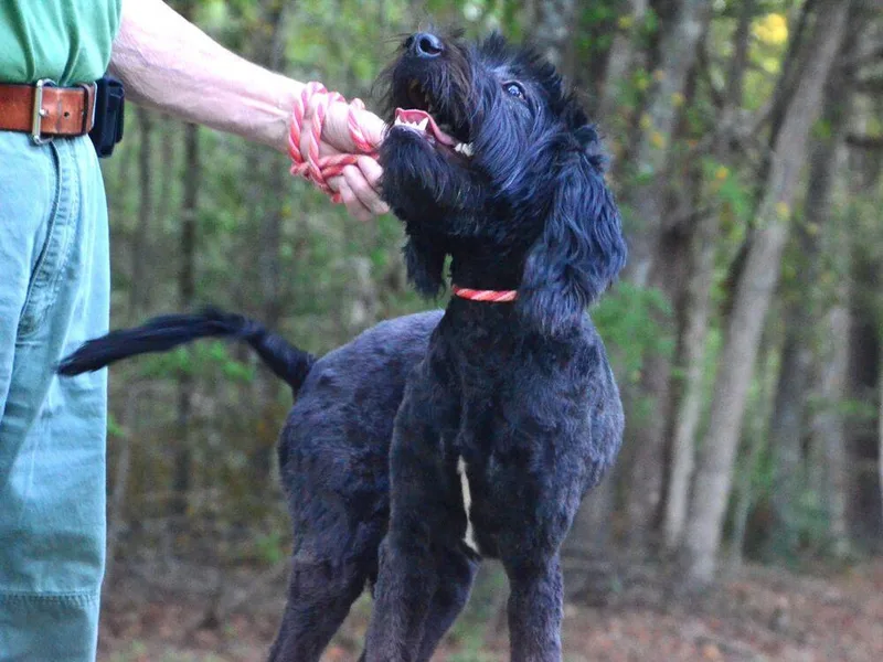 Keira thumbnail 3
