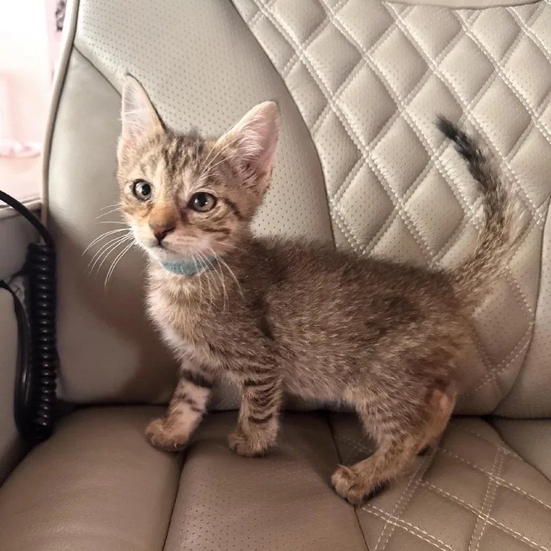 Theodore