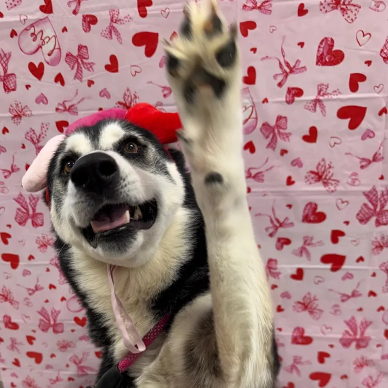 Fruit Punch thumbnail 3